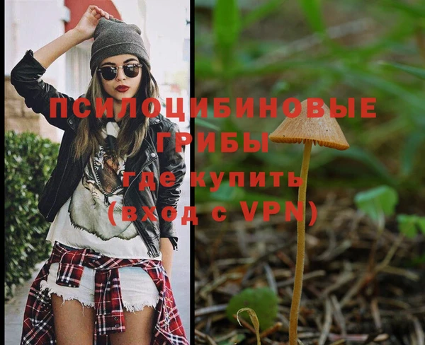 мяу мяу кристалл Иннополис